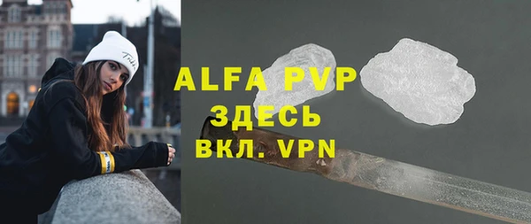 мет Алексин