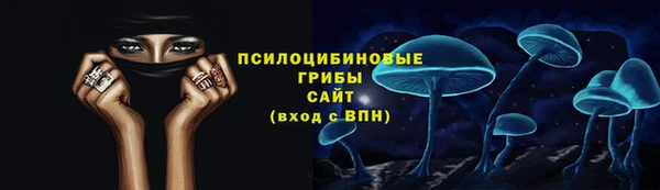гашик Алексеевка
