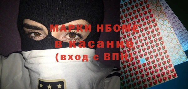 мет Алексин