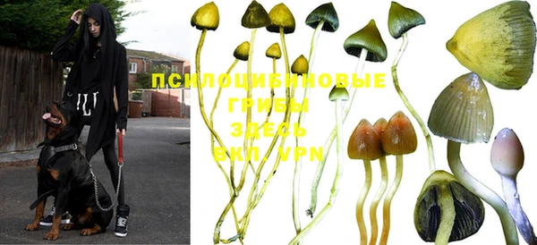 MDMA Алзамай