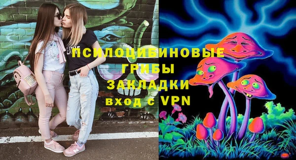 гашик Алексеевка