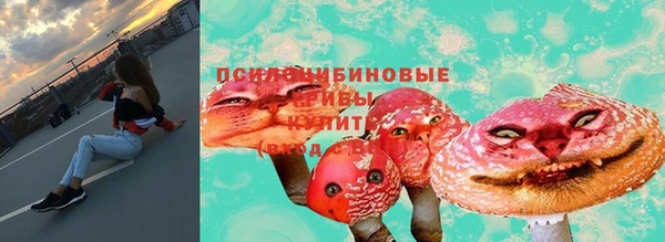 гашик Алексеевка