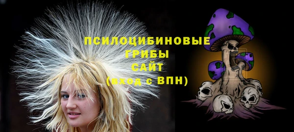 гашик Алексеевка