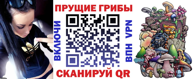 дарнет шоп  Баймак  Галлюциногенные грибы GOLDEN TEACHER 